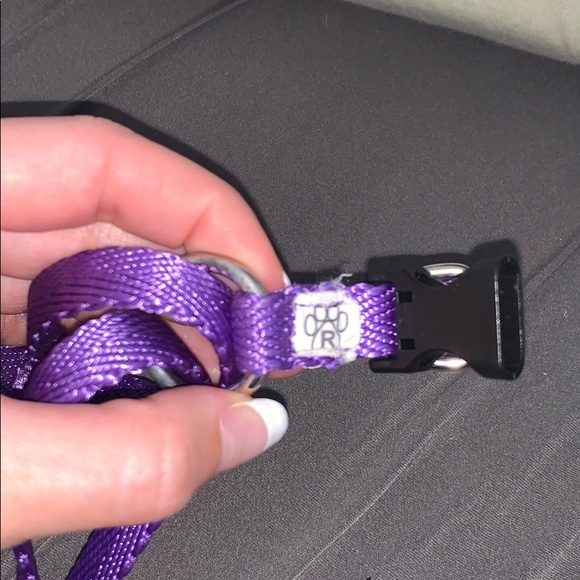 Dog Bundle 💜 - Picture 3 of 8